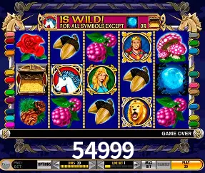 VIP Casino 54999